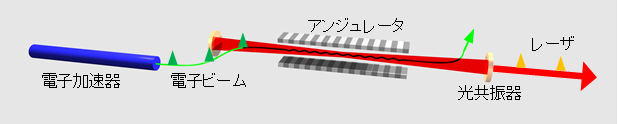 図1：共振器型自由電子レーザの画像