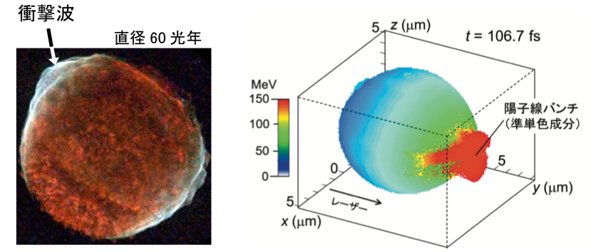 図6. (左) 超新星残骸SN1006の表面で無衝突衝撃波による宇宙線加速が起こっている. (右) 高強度レーザーと水素クラスターとの相互作用の大型計算機シミュレーションによる、CSBAによって加速された陽子線のエネルギー分布（三次元図）. クラスター中心で衝撃波によって加速された準単色の陽子線バンチ（赤色）が、クラスター内部から外部に向かって飛び出し、レーザー進行方向（+y方向）へ加速される. この後、陽子線バンチは、クーロン爆発電場による追加速を受け、サブGeVまで加速される.