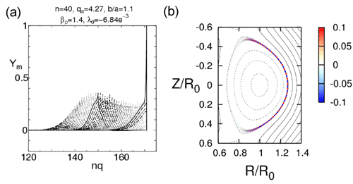 Mode structure of the n=40 edge localized MHD mode obtained by MARG2D in (a) the radial direction and (b) the (R,Z) plane.