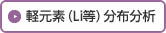 軽元素（Li等）分布分析