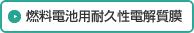 燃料電池用耐久性電解質膜