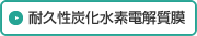 耐久性炭化水素電解質膜