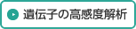 遺伝子の高感度解析