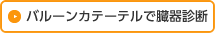 バルーンカテーテルで臓器診断