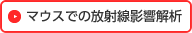 マウスでの放射線影響解析