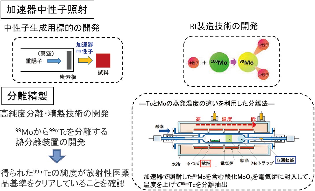 加速器中性子利用99Mo/99mTc等 医療用RI国産化に向けた開発