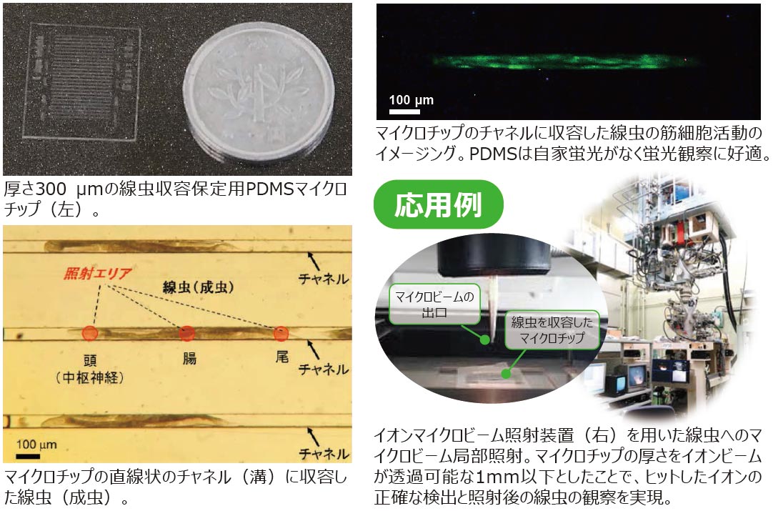 生物試料用マイクロチップ技術とその応用