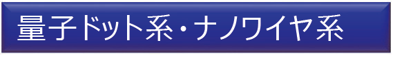 量子ドット系・ナノワイヤ系