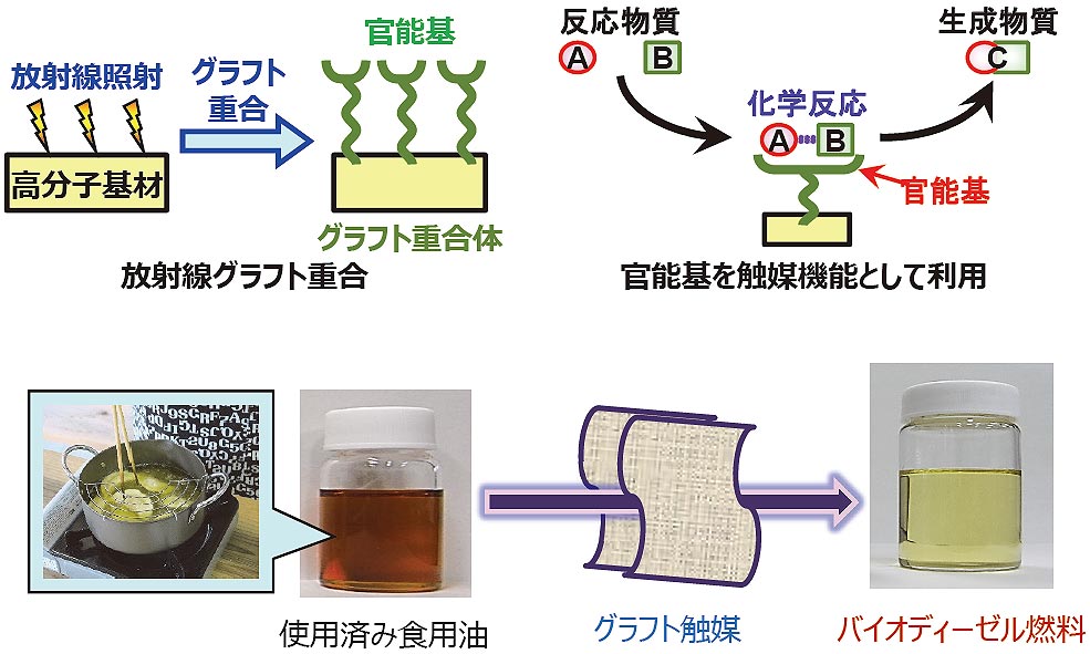 バイオディーゼル燃料転換用触媒