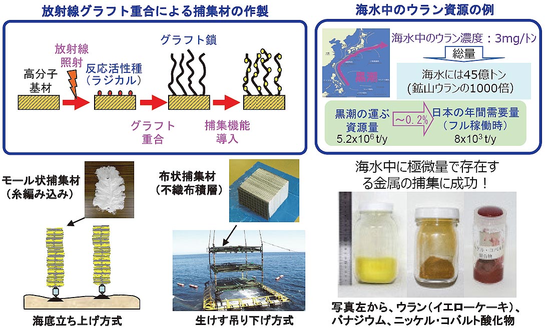 海水中からの希少金属の捕集