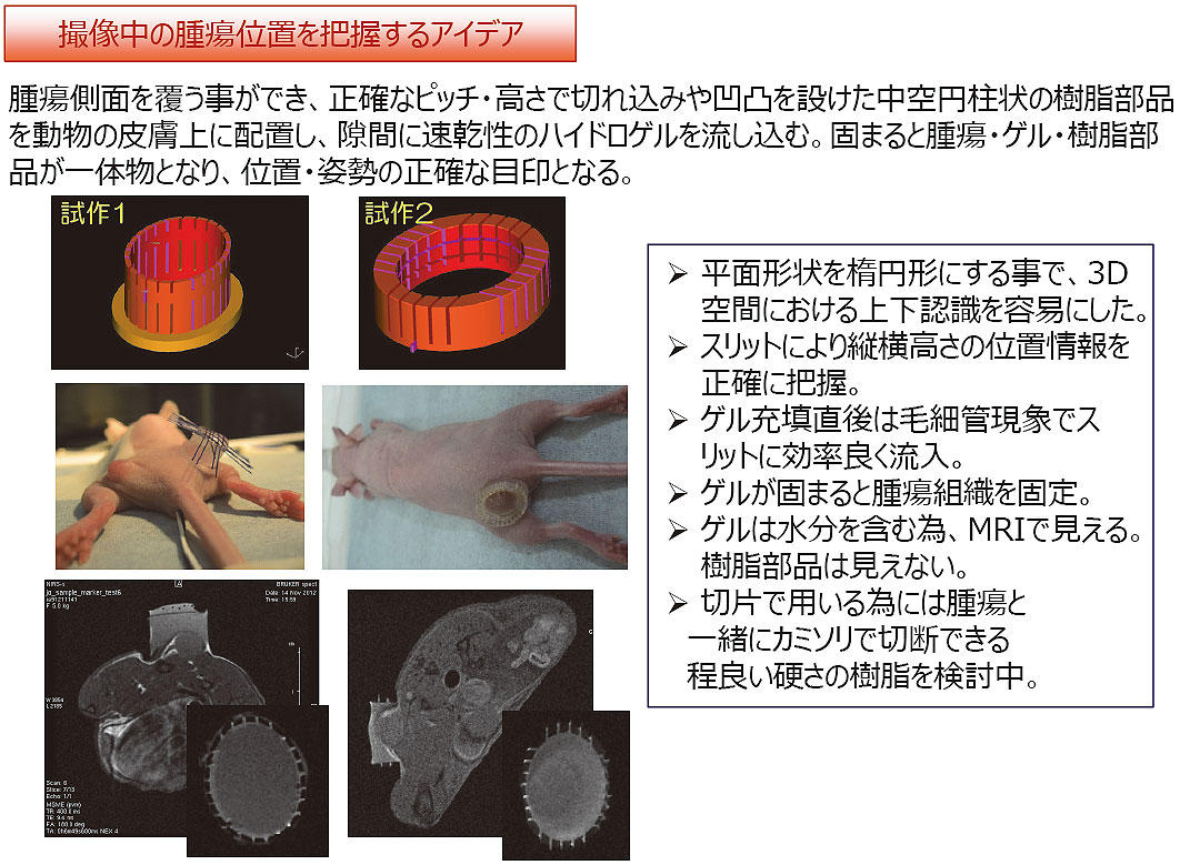 生体イメージングと顕微鏡切片画像の位置合わせマーカー