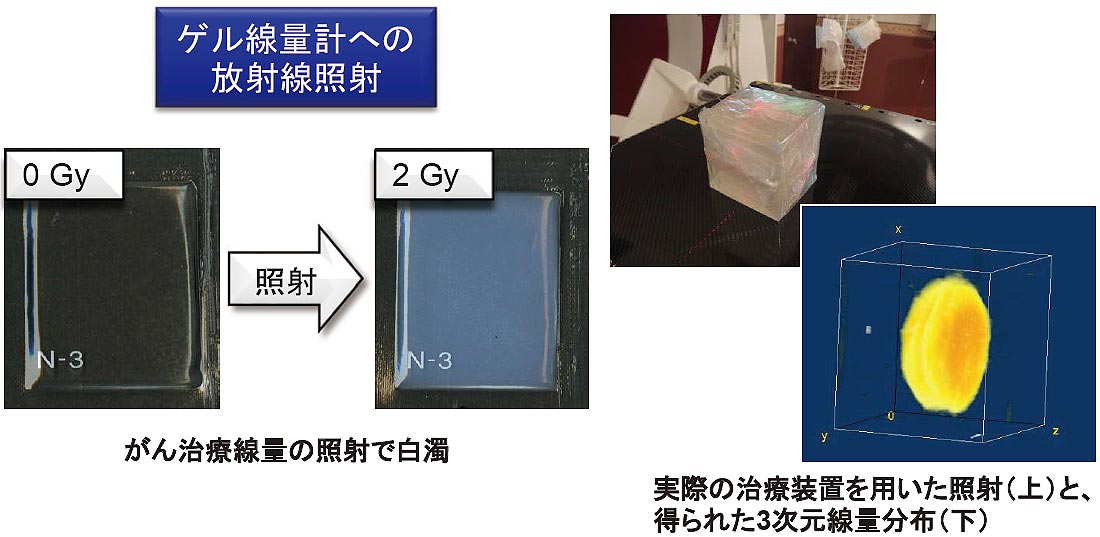 3次元線量分布測定技術の開発