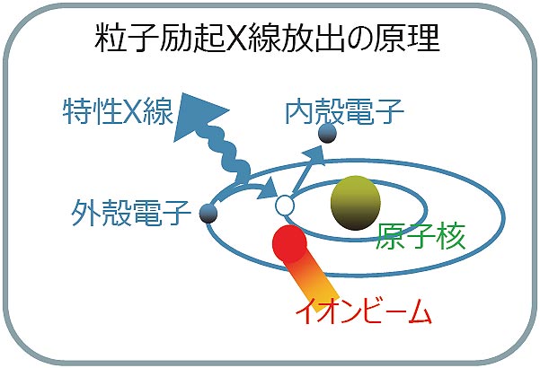 大気マイクロ粒子線励起X線放出による生体内微量元素分布分析