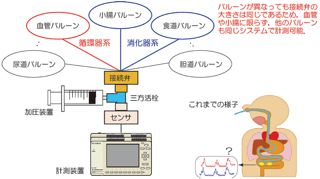 バルーンを用いた臓器診断法