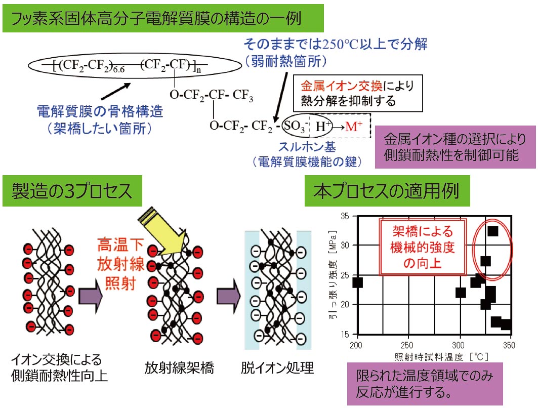 放射線架橋フッ素系固体高分子電解質とその製造方法