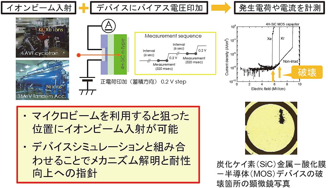 半導体デバイスのイオン入射破壊効果の評価