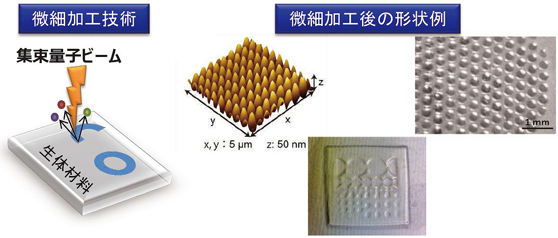 生体適合性材料の微細加工技術の研究開発