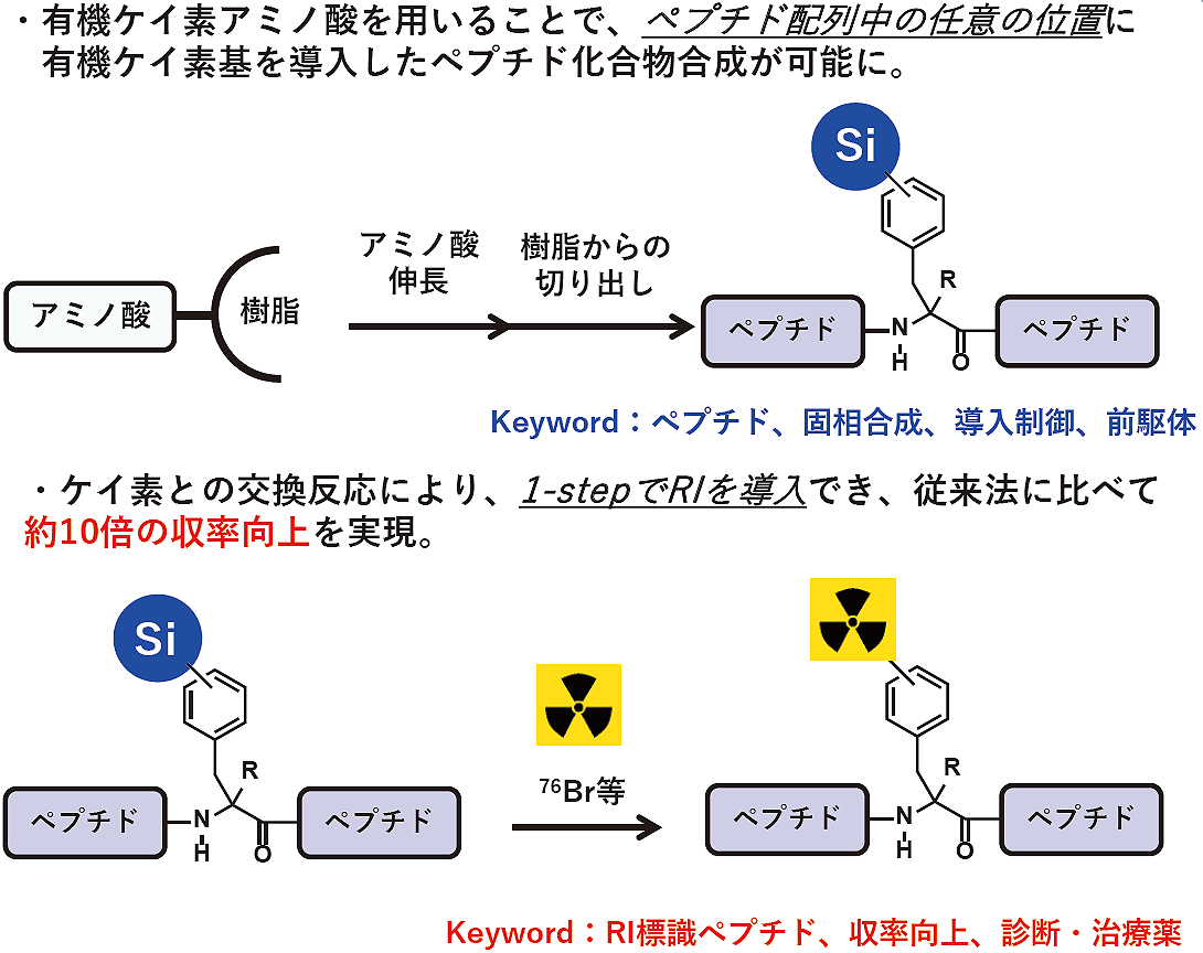 医療用RI標識ペプチドの製造技術