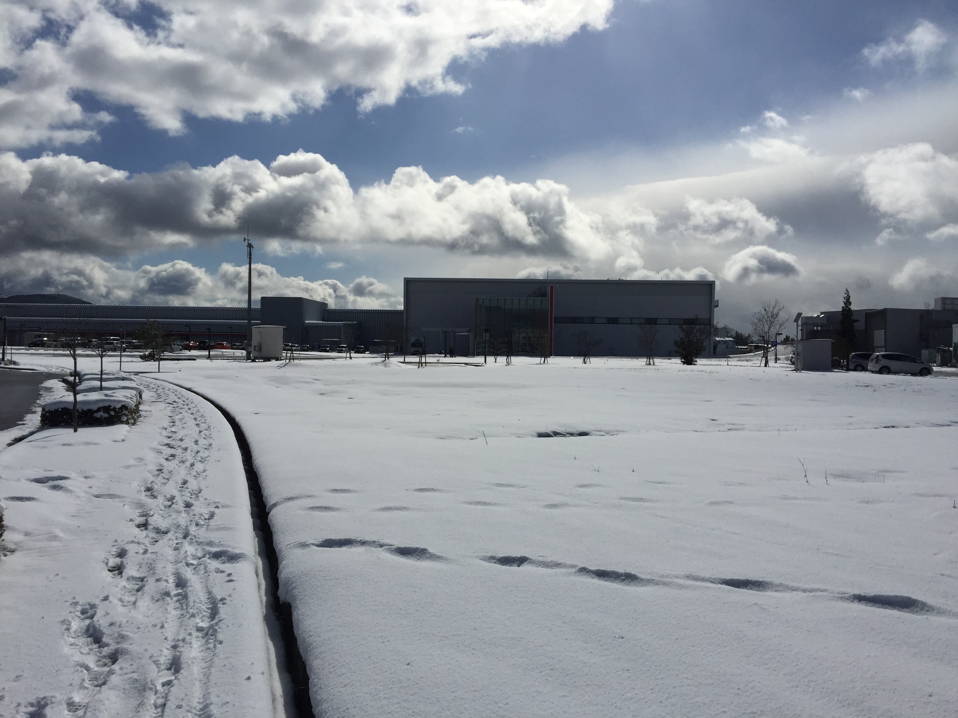 関西光科学研究所 BLOG:播磨は雪の中 量子科学技術研究開発機構 関西光科学研究所 BLOG:播磨は雪の中 量子科学技術研究開発機構