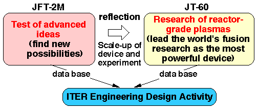 Role of JFT-2M