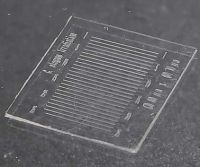photo of Worm Sheet (Biocosm Inc.)