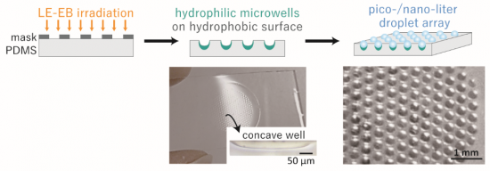 photo of Schematic illustration of single-step fabrication of concave patterns with long-lasting hydrophilic inner surfaces (green areas) on hydrophobic PDMS surface. The droplet array was obtained after wetting the sample surface with water
