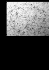 photo of Hitting pattern of DARUMA
