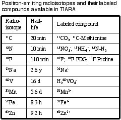 photo of Movement of molecules and ions in a plant2