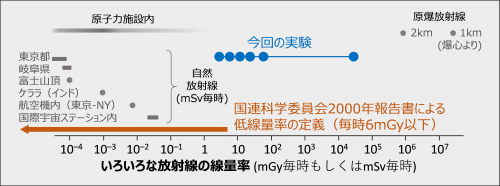 図6　いろいろな放射線の線量率