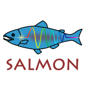 図1Salmonのロゴ