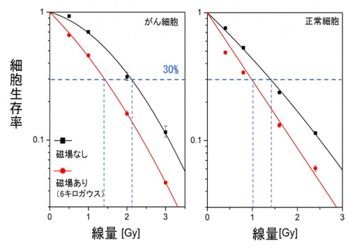 図2　平行磁場下での炭素線照射実験のコロニーアッセイの結果