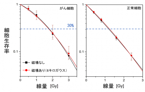 図3　直交磁場下での炭素線照射実験のコロニーアッセイの結果