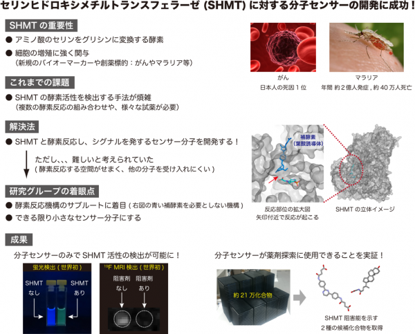 図　本発表の要約イメージ