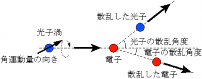 図２　光子渦のコンプトン散乱の模式図。光子渦は、角運動量の向きが回転しながら飛来する。