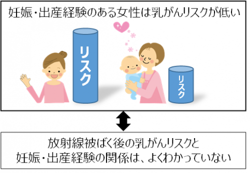  妊娠・出産経験と乳がんリスクの関係を図で表したもの