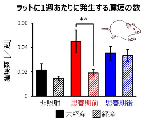 図3　ラットに１週あたりに発生する腫瘍の数