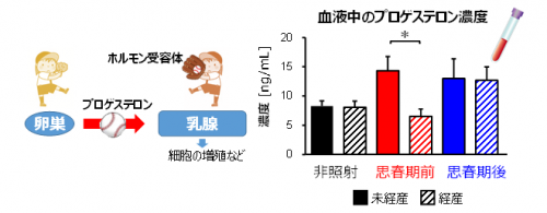 å³4ããã­ã²ã¹ãã­ã³ã®ä½ç¨ã¨è¡ä¸­æ¿åº¦