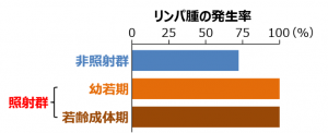 DNA修復酵素Mlh1の機能欠損マウスにおける