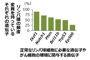 DNA修復酵素Mlh1の機能欠損により発生したリンパ	腫に見つかった変異遺伝子（一部）