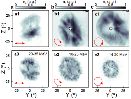 Fig.3