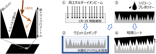 表面の微細な円錐状空洞構造に光が閉じ込められる原理