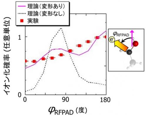 イオン化の分子座標系角度分布の実験結果