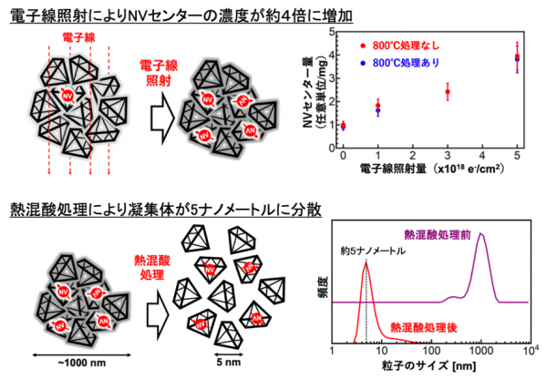 1000ナノメートル程度に凝集したナノダイヤモンドが熱混酸処理で約5ナノメートルの単一サイズのナノダイヤモンドに分散したことがわかる