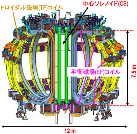 図1.JT-60SAの超伝導コイルの図