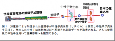 加速器により加速された重陽子が中性子発生部（リチウム）と衝突し中性子が発生する様子。