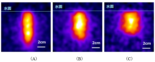 炭素線を上方向から水を満たした容器に照射した時の制動放射線の画像