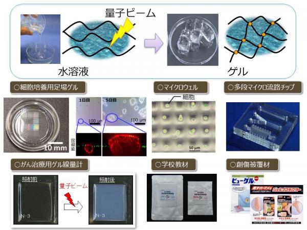 研究課題