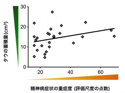 脳内タウ蓄積量と遅発性の精神症状との関連