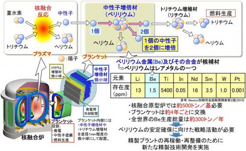 å³ï¼ãä¸­æ§å­å¢åæã®å½¹å²ã¨ããªãªã¦ã ã®å®å®ç¢ºä¿ã®å¿è¦æ§