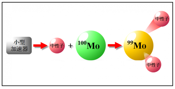 加速器中性子RI製造